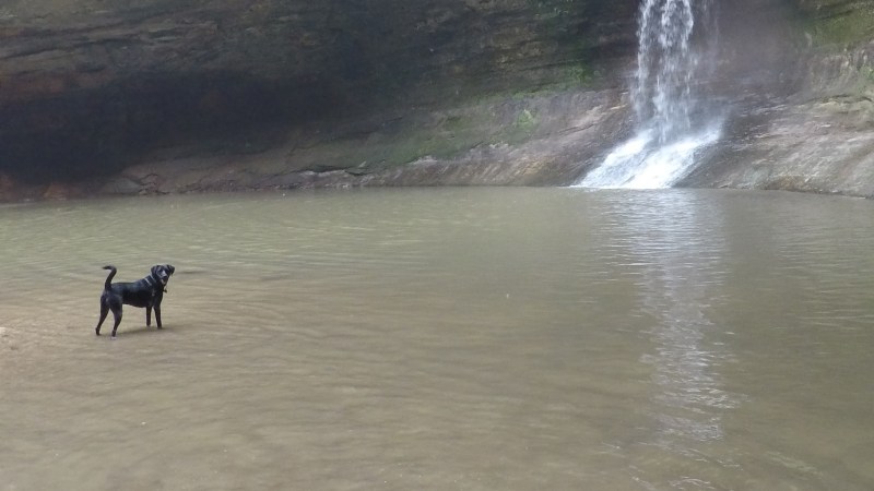 Starved Rock &&nbsp;Matthiessen
